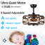 Ceiling Fan