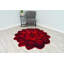 Tapis rouge Vesta-1335240176