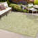 Demians Bohemian Textured Weave Floral Green/Cream Indoor/Outdoor Rug