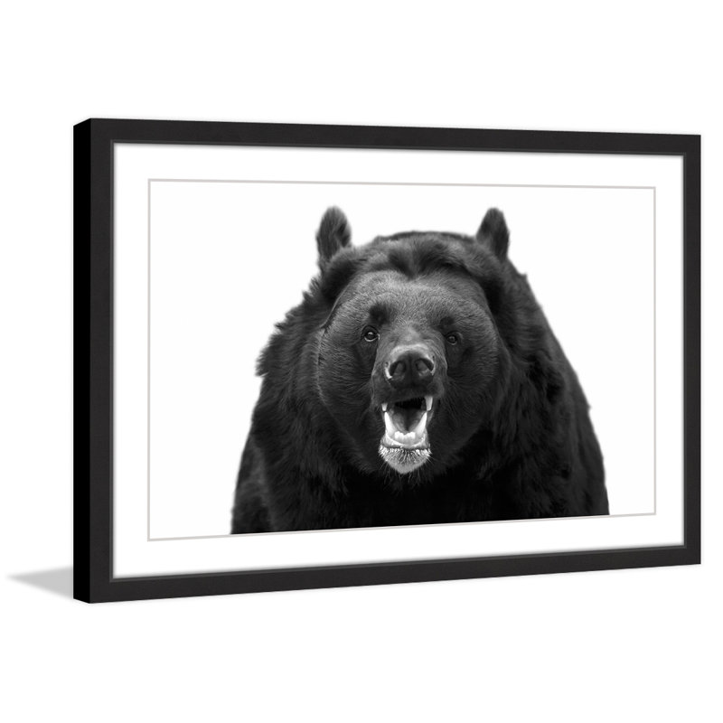 Single Picture Frame Print, 41cm H x 61cm W x 3.81cm D
