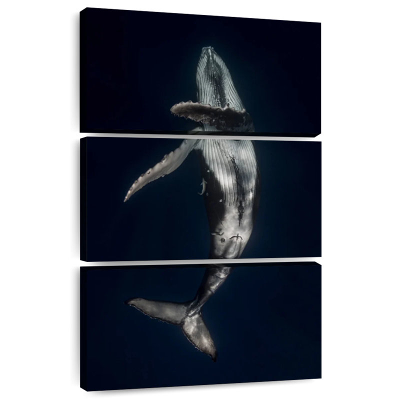 Brampt Dancing Humpback Whale