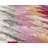 Legacie|Tribal Rose-1314838831