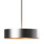 Vinay 3 - Light Aluminum Unique/Statement Pendant