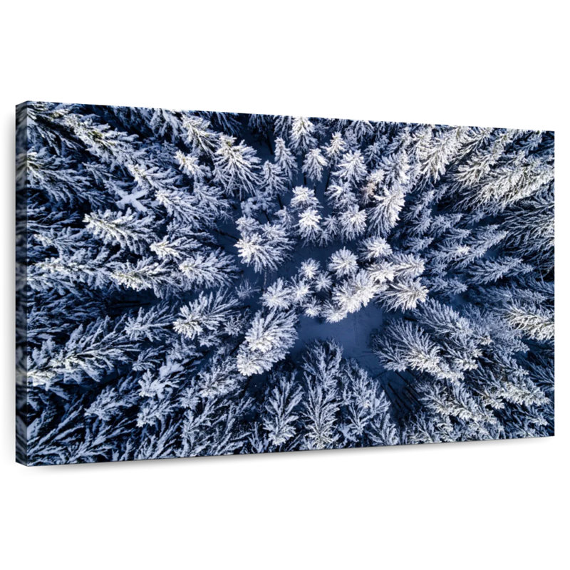 Forêt de pins d'hiver d'Alvord, en Autriche, H 16 po x l 24 po
