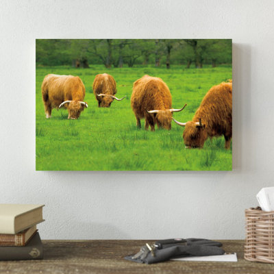 «Scottish Highland C bestell» par Alan Majchrowicz, reproduction de photo sur toile tendue