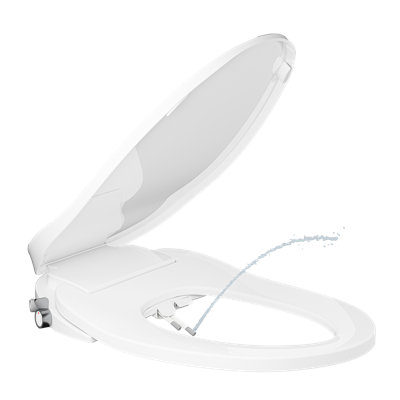 Elongated Toilet Seat Bidet