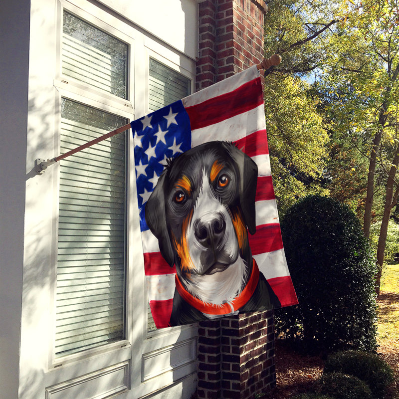 Polyester à 2 côtés 28 x 40 po drapeau maison, Grand bouvier suisse