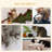 41" Cat Tree Tower with Condo, Scratching Posts, Hanging Ball, Grey