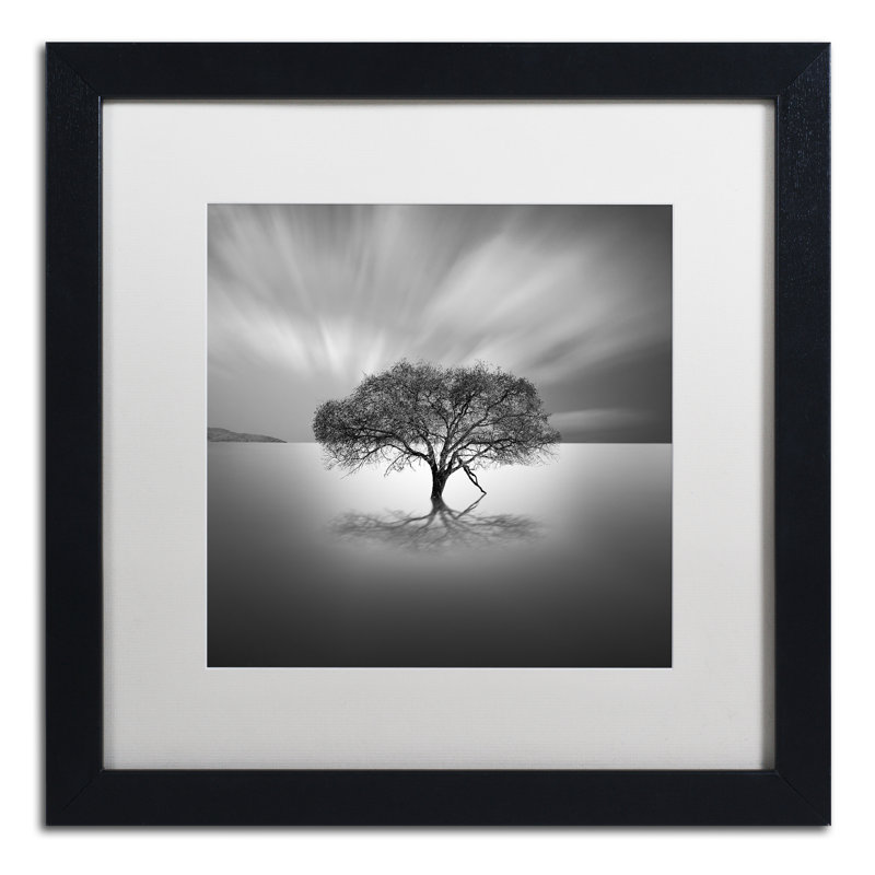 « water tree viii », reproduction de photo sur toile encadrée, H 16 po x l 16 po x P 0,5 po, Blanc
