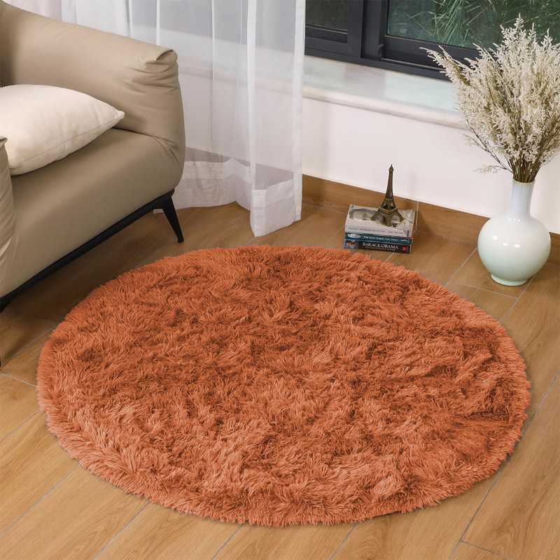 Alizabeth Standard Shag 120cm X 120cm Area Rug