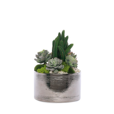 Faux Succulent in Pot
