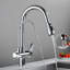 Belfry Kitchen Wilburg Pull Out Kitchen Faucet
