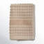Washcloth-1488818033