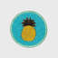 Lemon Coasters-1313343765