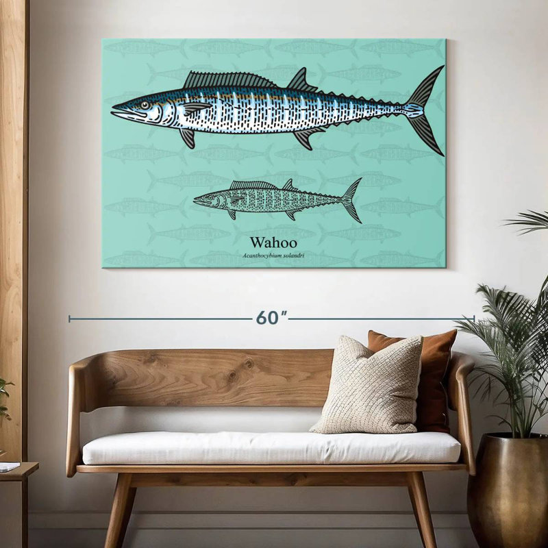 Wahoo Brampt, H 34 po x l 51 po