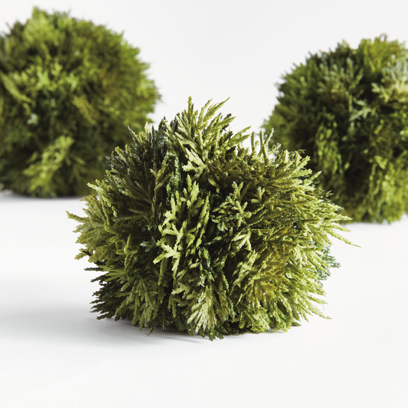 CYPRESS ORB 4.5"