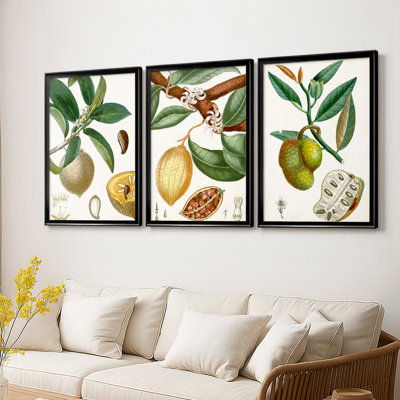Turpin Tropical Fruit I - Toile tendue avec châssis sur mesure - 3 pièces