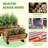Half Barrel Planter-2040910919