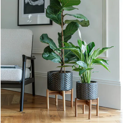 Plant Stand - Set of 2