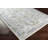 Hewson Oriental Indoor Rug-1864998055