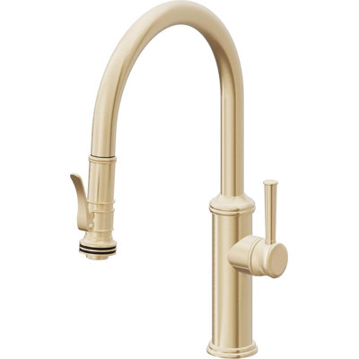 Davoli Kitchen Faucet