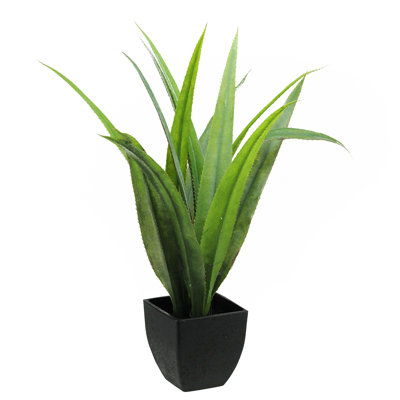 21.5" Green and Black Potted Artificial Agave Succulent Plant
