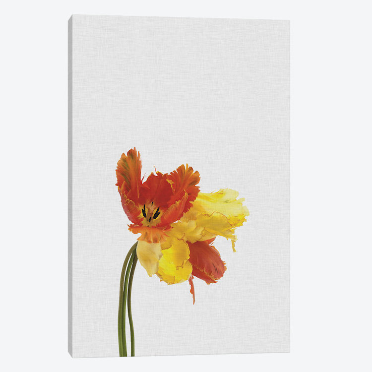 « tulipe », impression sur toile, H 40 po x l 26 po x P 1,5 po, Pas de tapis, Toile tendue