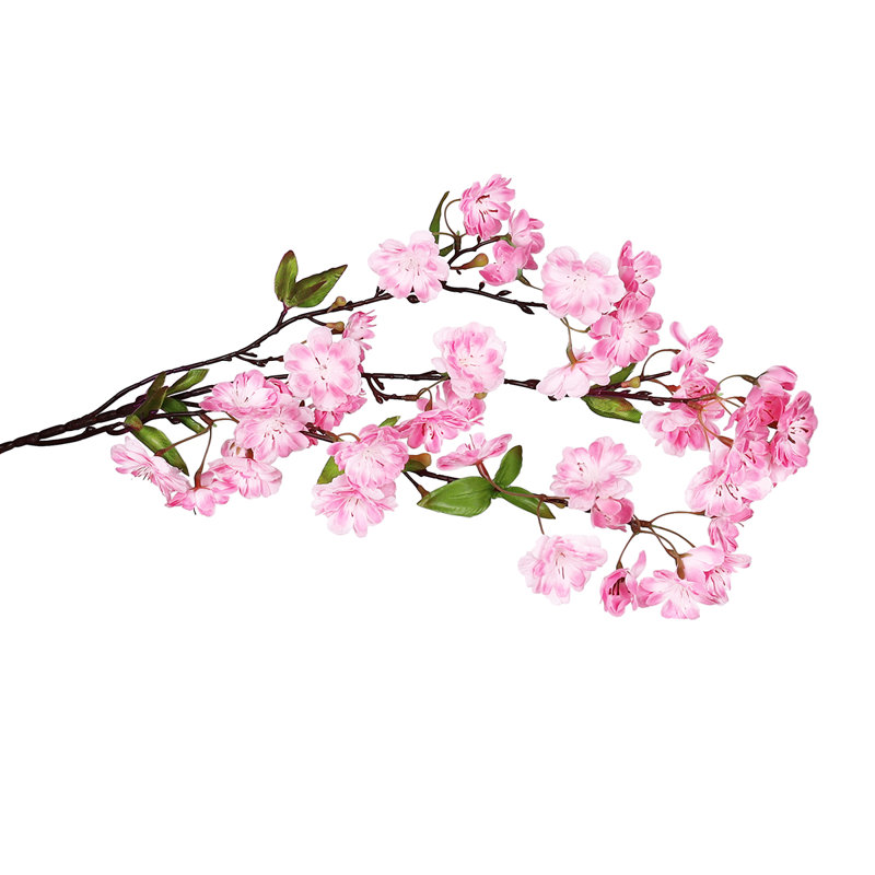 Fleur de cerisier en fleurs, Rose