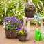 Ensemble de 3 pots de fleurs en cèdre Akef