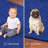 Amberlie Washable Indoor Rug