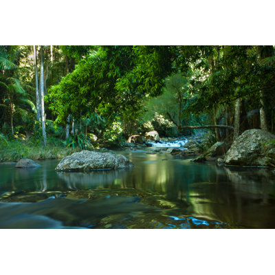 Rainforest Waterfall - Photographie sur toile tendue