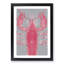 The Pink Lobster in Abstract - Picture Frame Graphic Art Print-55763519-55763524