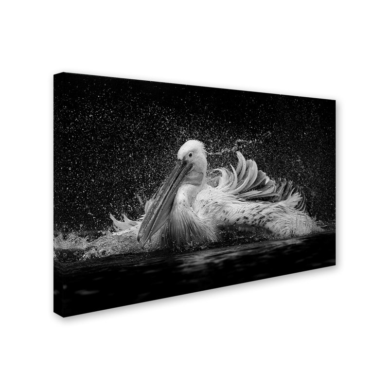 « baignoire », reproduction d’impression sur toile tendue, 16 po x 24 po