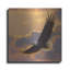 «Soaring Spirit» par Collin Bogle-308158744