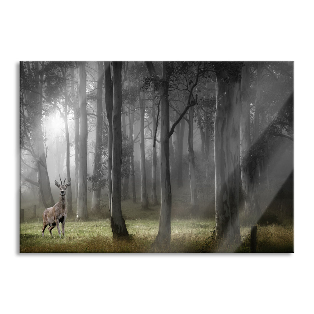 Glasbild Hirsch im Wald