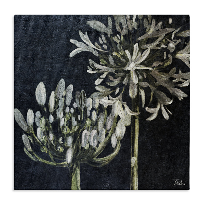 Art mural sur toile Blooming White Herbs par Patricia Pinto, H 17 po x l 17 po
