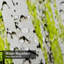 Rideau de douche Birch Forest Trees Spring Canada-1206932549