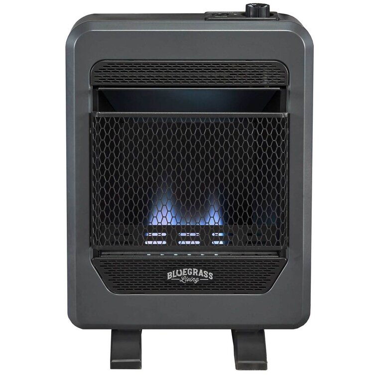 Comfort Glow 30000 BTU Natural Gas Wall Mounted Space Heater with  Adjustable Thermostat & Reviews