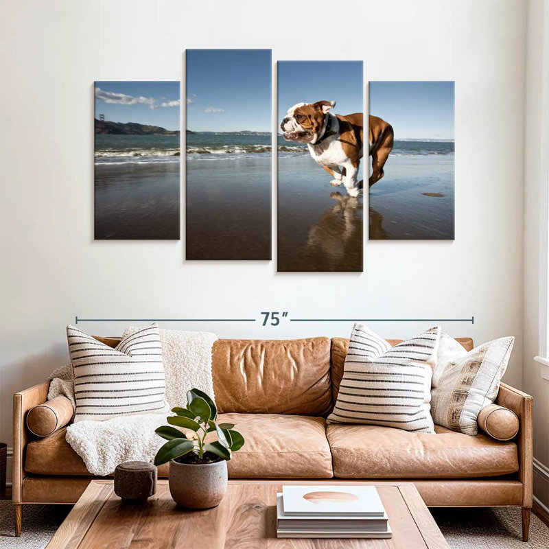 Brampt Dog Beach Run, 42" H x 68" W