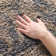 Chaffin Shag Performance Floral Rug