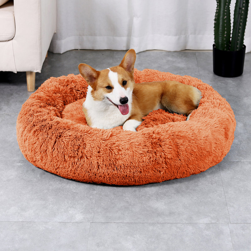 Polyester Pet Bed, Burnt Orange, Medium (91.4cm W x 91.4cm D x 15.2cm H)