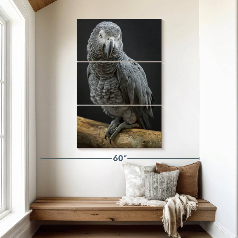 Congo Grey Parrot