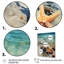 Étoile de mer tropicale plage Serenade 1 - art mural tropical côtier-783653935-783653931