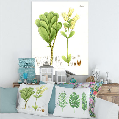 Plante brésilienne rétro III - peinture sur toile