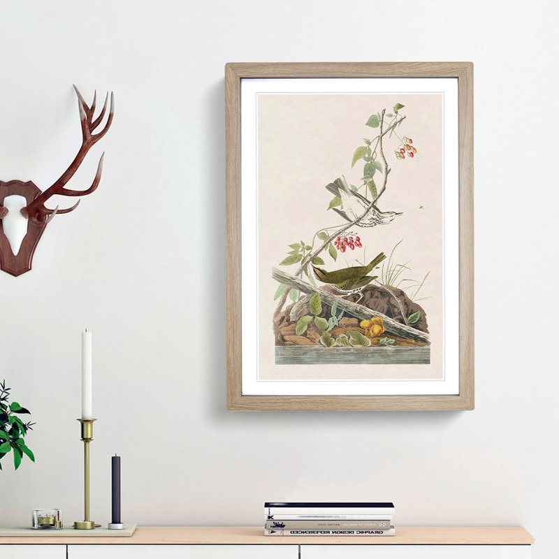 Golden-Crowned Thrush by John James Audubon - Picture Frame Art Print, Oak Framed, 65cm H x 48cm W x 2cm D