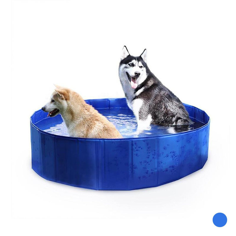 Ensemble de cadres en plastique pour piscine, H 11,8 po x l 47,2 po x L 47,2 po