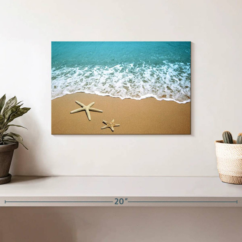 Gillard Starfish Coast, H 8 po x l 12 po