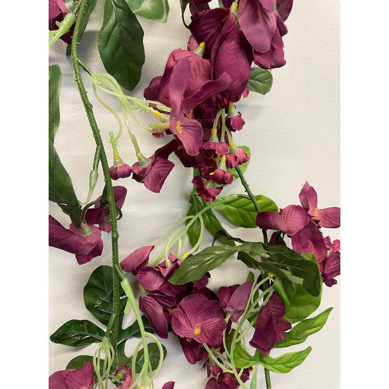 Sprays lilas