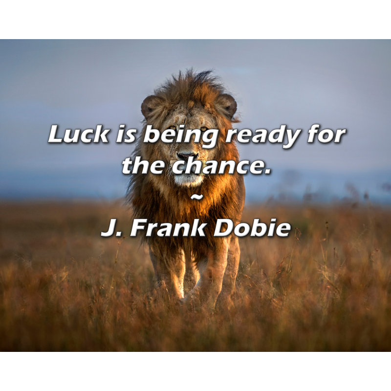 Citation artistique «La chance est prête pour la chance». Toile tendue par J. Frank Dobie, H 17 po x l 24 po