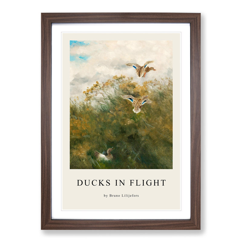 Ducks Taking Flight by Bruno Liljefors - Single Picture Frame Print, Walnut Framed, 48cm H x 36cm W x 2cm D